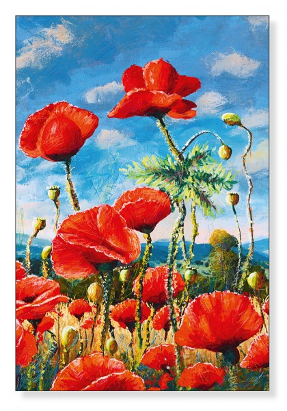 Mohnblumen