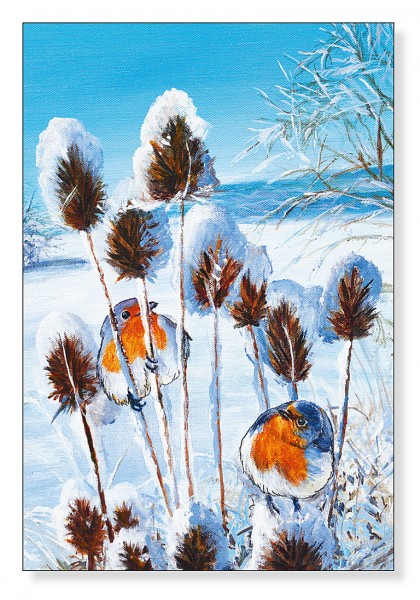 Winter aus dem Bilderbuch
