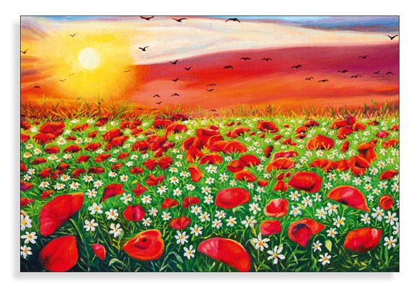 Gänseblümchen mit Mohnblumen
