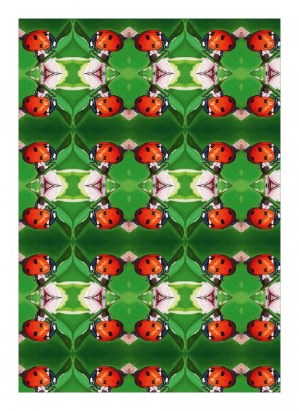 Geschenkpapier «Frühling/Sommer»