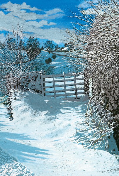 Winter aus dem Bilderbuch